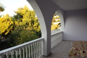 Oasis_best deals_Hotel_Ionian Islands_Zakinthos_Zakinthos Rest Areas