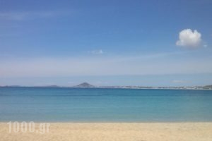Isalos Studios_holidays_in_Hotel_Cyclades Islands_Naxos_Mikri Vigla
