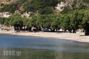 Hotel Flora_lowest prices_in_Hotel_Cyclades Islands_Sifnos_Platys Gialos