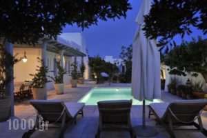 Villa Bellonia_best prices_in_Villa_Cyclades Islands_Paros_Paros Chora