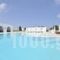 Villa Bellonia_accommodation_in_Villa_Cyclades Islands_Paros_Paros Chora