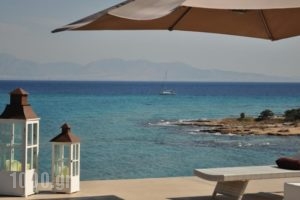 Sea Concept_best prices_in_Hotel_Piraeus Islands - Trizonia_Aigina_Vagia