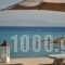 Sea Concept_best prices_in_Hotel_Piraeus Islands - Trizonia_Aigina_Vagia