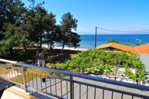 Sikoudis Gorgona Beach_best prices_in_Hotel_Aegean Islands_Thasos_Thasos Chora