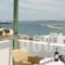 Adonis Hotel Studios & Apartments_lowest prices_in_Apartment_Cyclades Islands_Paros_Paros Chora