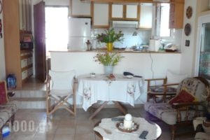 Aliki House_holidays_in_Hotel_Ionian Islands_Corfu_Corfu Rest Areas