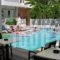 Elite Apartments_best prices_in_Apartment_Dodekanessos Islands_Kos_Kos Chora