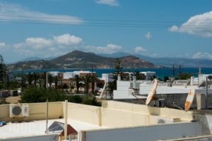 Studios Marina_lowest prices_in_Hotel_Cyclades Islands_Naxos_Naxos chora