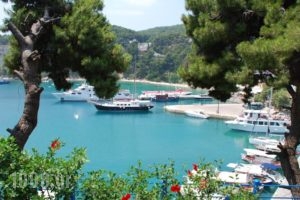 Pansion Nina_holidays_in_Hotel_Sporades Islands_Alonnisos_Patitiri