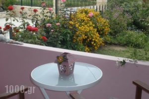 Livadi Apartments_holidays_in_Apartment_Crete_Rethymnon_Plakias