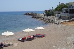 Antonios Apartments_travel_packages_in_Dodekanessos Islands_Rhodes_Stegna