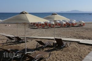 Almira Hotel_travel_packages_in_Peloponesse_Ilia_Vartholomio