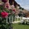 Eleni Apartments_best prices_in_Apartment_Ionian Islands_Corfu_Roda