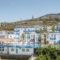 Belvedere Hotel Apartments_lowest prices_in_Apartment_Crete_Heraklion_Aghia Pelagia