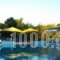 Hotel Vergina_best prices_in_Hotel_Central Greece_Attica_Athens