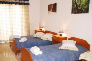 Saonisos_lowest prices_in_Hotel___