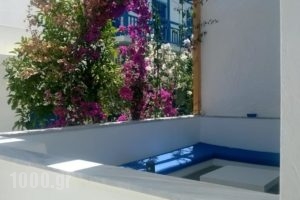 Doron Hotel Delfini_accommodation_in_Hotel_Cyclades Islands_Naxos_Naxos Chora