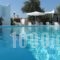 Lilly's Island_accommodation_in_Hotel_Cyclades Islands_Antiparos_Antiparos Chora