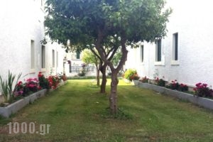Corifo Village_holidays_in_Hotel_Ionian Islands_Corfu_Acharavi