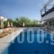 Graziella Apartments_travel_packages_in_Dodekanessos Islands_Rhodes_Ialysos
