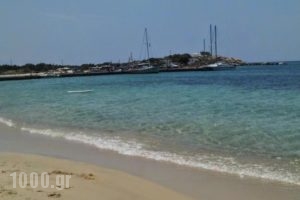Litsa Studios_best prices_in_Hotel_Cyclades Islands_Naxos_Naxos chora