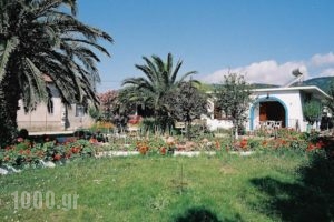 Mylos Studios_accommodation_in_Hotel_Sporades Islands_Skiathos_Skiathoshora
