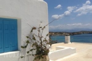 Paros Traditional Houses_holidays_in_Hotel_Cyclades Islands_Paros_Paros Chora