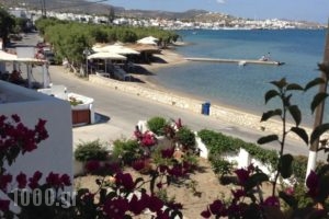 Studios Irene_best prices_in_Hotel_Cyclades Islands_Paros_Paros Chora