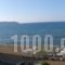Camelia Studios & Apartments_travel_packages_in_Crete_Chania_Stalos