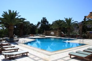 Armadoros Hotel / Ios Backpackers_accommodation_in_Hotel_Cyclades Islands_Ios_Ios Chora
