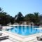 Armadoros Hotel / Ios Backpackers_accommodation_in_Hotel_Cyclades Islands_Ios_Ios Chora