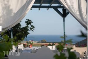 Akrotiri Dreams_accommodation_in_Hotel_Cyclades Islands_Sandorini_Sandorini Chora