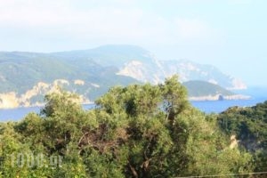 Ulisse Apartments_best prices_in_Apartment_Ionian Islands_Corfu_Palaeokastritsa