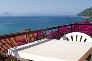 Studio Rolous_holidays_in_Hotel_Ionian Islands_Lefkada_Lefkada Rest Areas