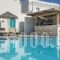 Nissia Apartments_best deals_Apartment_Cyclades Islands_Sandorini_Perissa
