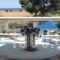 Studios Angela_accommodation_in_Hotel_Aegean Islands_Samos_Pythagorio