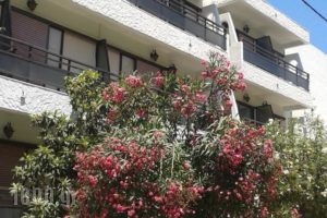 Paradise Hotel_travel_packages_in_Dodekanessos Islands_Kos_Kos Chora