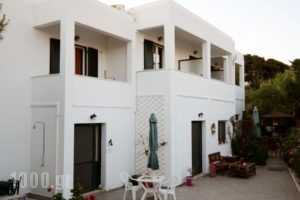Moscha Studios_holidays_in_Hotel_Cyclades Islands_Andros_Batsi