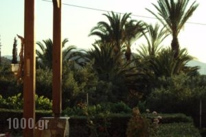 Villa Katerina_best prices_in_Villa_Crete_Lasithi_Makrys Gialos