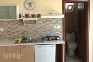 Ktima Amitsa Studios & Apartments_lowest prices_in_Apartment_Macedonia_Halkidiki_Toroni