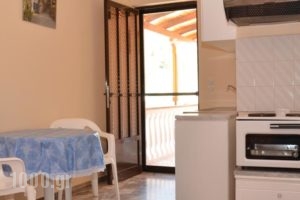 O Petros_best prices_in_Hotel_Peloponesse_Arcadia_Kosmas