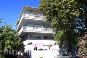 Galanis Studios and Apartments_best prices_in_Apartment_Thessaly_Larisa_Ambelakia