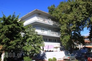 Galanis Studios and Apartments_accommodation_in_Apartment_Thessaly_Larisa_Ambelakia