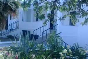 Moscha Studios_accommodation_in_Hotel_Cyclades Islands_Andros_Batsi