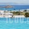 Adelmar Hotel & Suites_accommodation_in_Hotel_Cyclades Islands_Mykonos_Platys Gialos