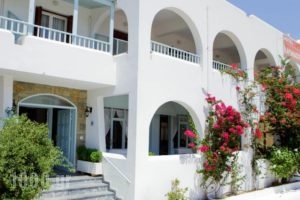 Karanasos_accommodation_in_Hotel_Cyclades Islands_Andros_Batsi