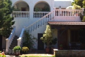 Studios Irene_best prices_in_Hotel_Dodekanessos Islands_Patmos_Skala