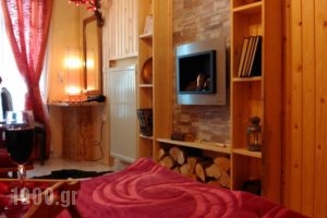Guesthouse Chrysa_best deals_Hotel_Central Greece_Viotia_Arachova