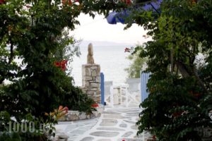 Nissiotiko Studios & Apartments_best prices_in_Apartment_Cyclades Islands_Paros_Paros Chora
