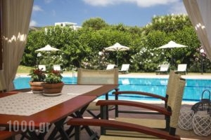Hotel Peli_lowest prices_in_Hotel_Crete_Chania_Kissamos